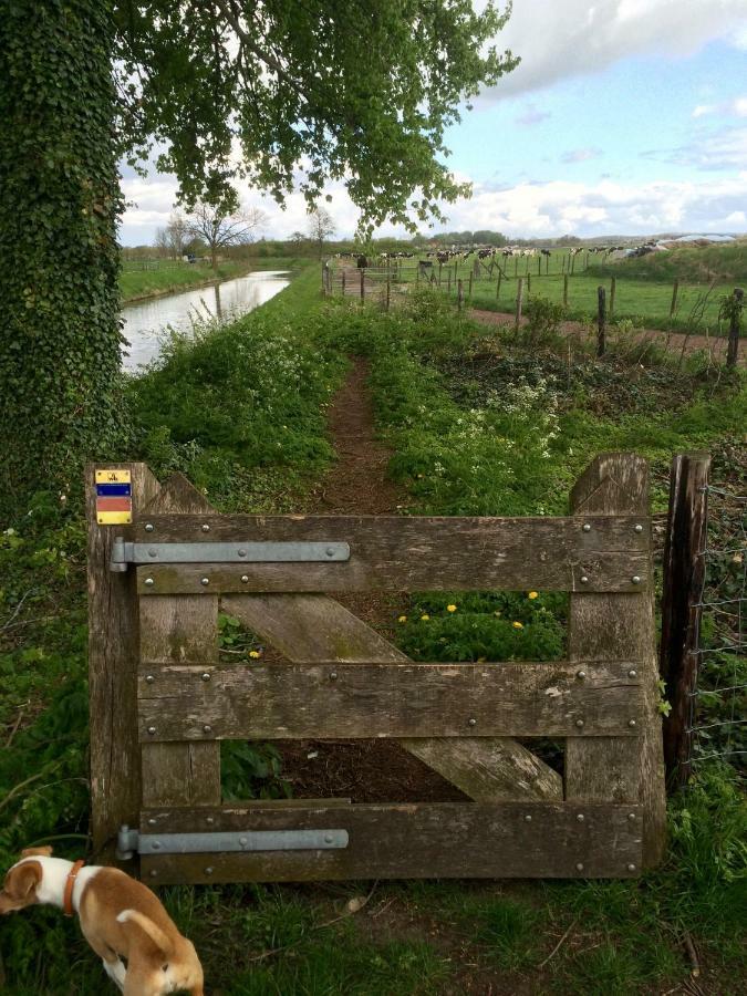 Boerengastenverblijf De Kromme Rijn Cothen Exterior foto